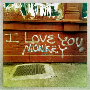 Meserole Street 1:33pm