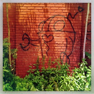 Anthony Street 1:18pm