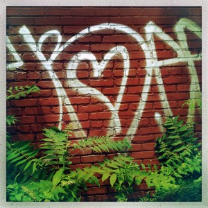 Anthony Street 1:19pm