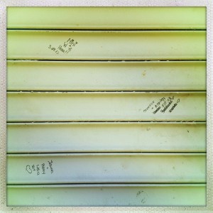 Scribner Avenue 1:13pm