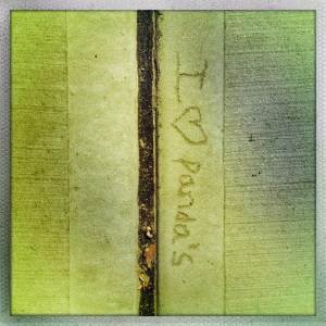 337 Smith Street 3:17pm