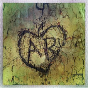 Champs de Mars 3:37pm