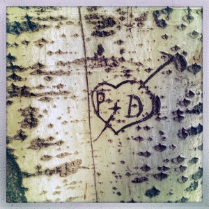 Promenade Ren Capitant 5:54pm