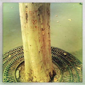 Rue de L'Hotel de Vile 12:39pm