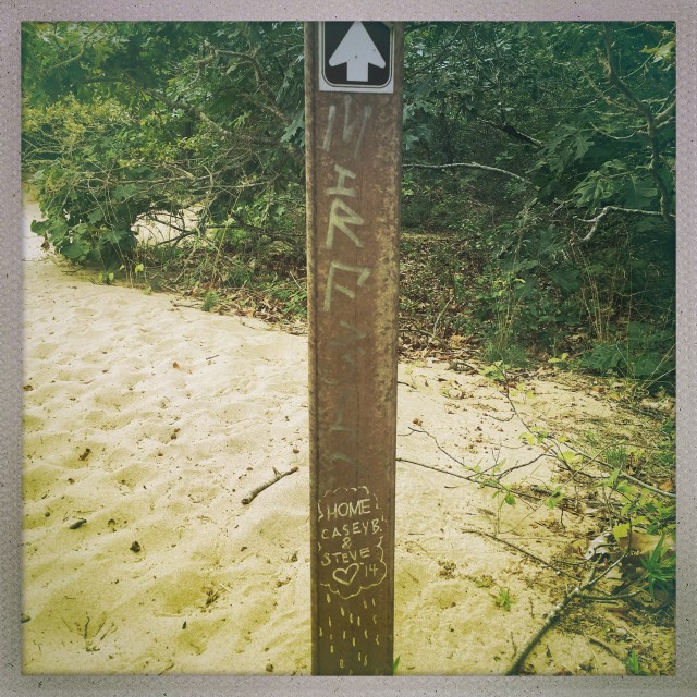 LOVE CITY. Walking Dunes. 11:35am.