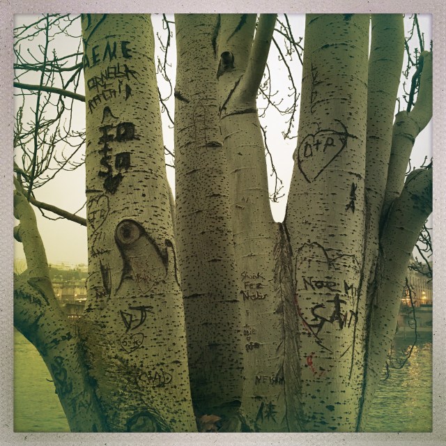 Love City. François Mitterand Quay. 5:14pm.