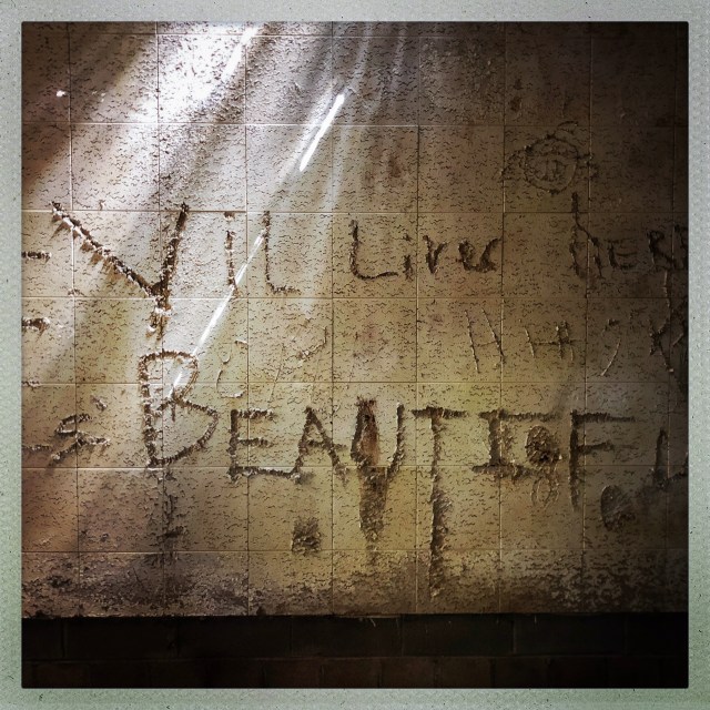 LOVE CITY. Camp Hero. 1:37pm.