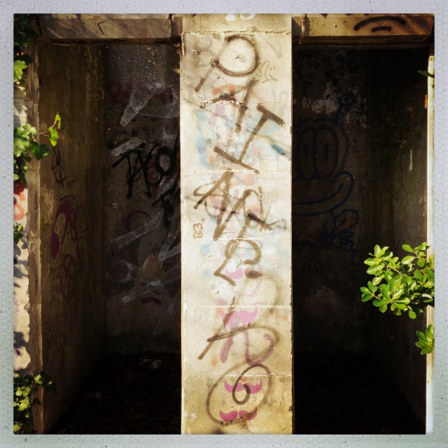 Chemin du Rosaire. 11:45am. Lyon, France.