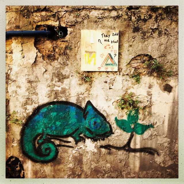 Montée des Chazeaux. 1:20pm. Lyon, France.